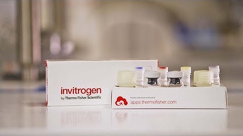 How to run the Invitrogen ProQuantum High Sensitivity Immunoassay kit