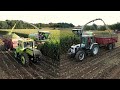 Ensilage mas 2023  claas jaguar 950  renault  mb trac  massey ferguson  john deere  claas