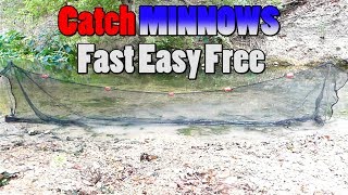 How to Catch Minnows with a Minnow Seine Net! Minnow trapping