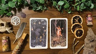 Oak, Ash & Thorn : Three Trees Tarot Deck | Unboxing + Flip Through; Nature, Animals, Pagan