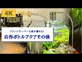 【初心者ボトルアクア】水換え簡単！ドリンクサーバー濾過水槽#22