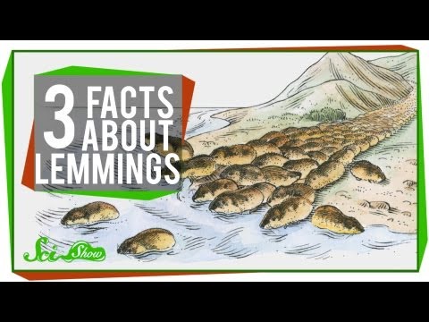 Lemmings کے بارے میں 3 حقائق