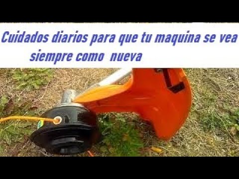 DESMALEZADORA stihl fs55 🧹🧹 CONSEJOS | Para que siempre te quede como  nueva - YouTube