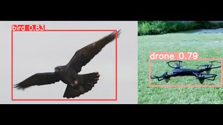 Drone Bird Detection using Yolov8