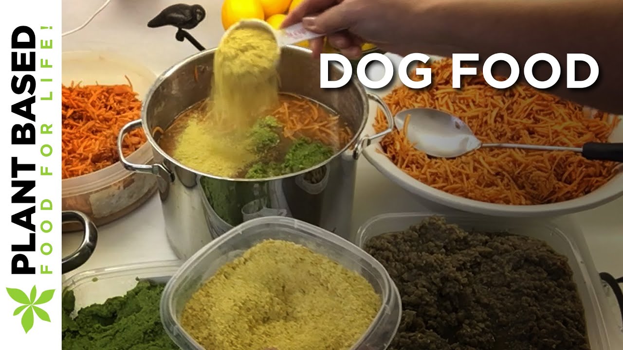 How I Make Plant Based Dog Food Plant Based Pet Food YouTube How I Make Plant Based Dog Food Plant Based Pet Food YouTube