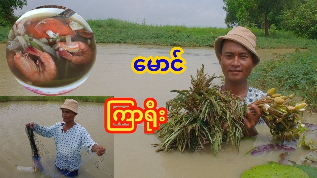 ရှမ်းကမ်းနားဖော့ကြော် ကြာရိုးဟင်းခါး