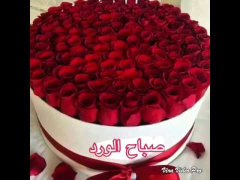 الورد الأحمر
