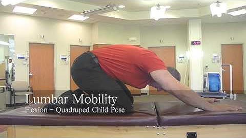 Lumbar Flexion - Quadruped Child Pose