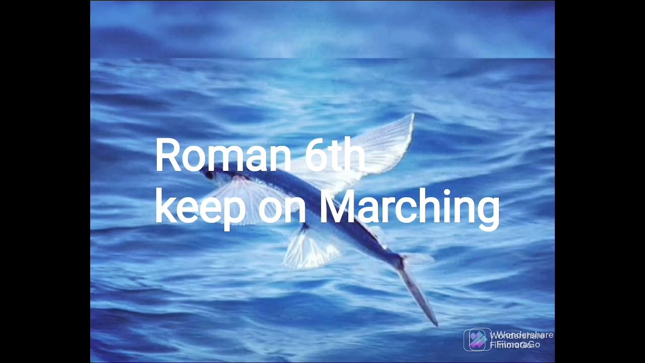 Archeaology in Barbados 🇧🇧 Pt1 A lost Civilization