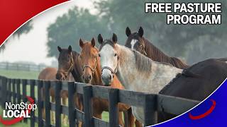 How Missoula County ranchers are getting free land help from experts