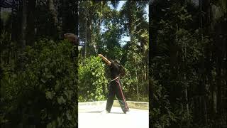 Ectru  sucky Love  Thai Fusion dc Kimmiiz ectru suckylove shorts