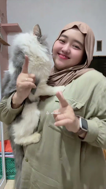Alus ngomonge penyakit atine juga iya wkwkwk #coversong #dangdut #coverlagu #dangdutkoplo #cat #brea