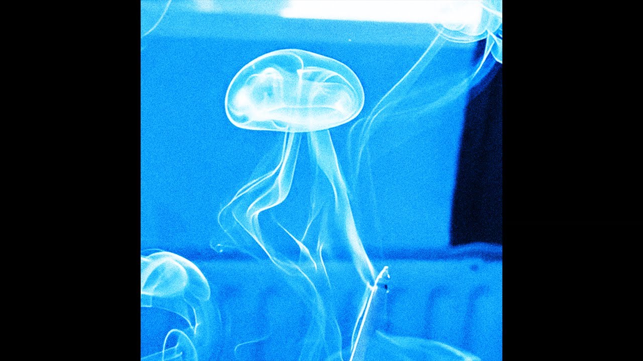 [FREE] playboi carti x pierre bourne type beat - 