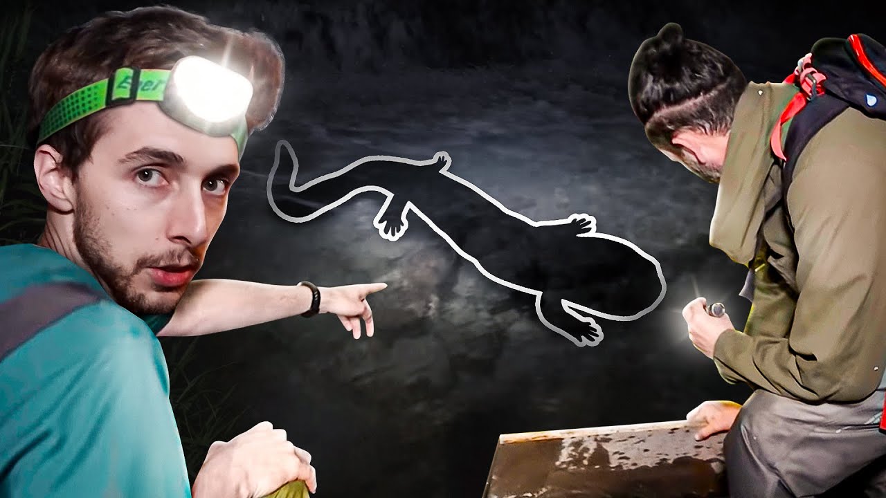 Search For The Last of Japan's Giant Salamanders