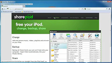Kann man einen iPod auch ohne iTunes nutzen?