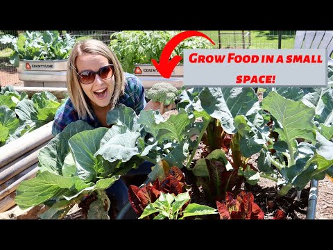 GROW YOUR OWN FOOD, IN A SMALL SPACE! - YouTube