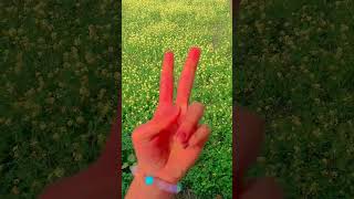 new short video #subscribe #trending #video