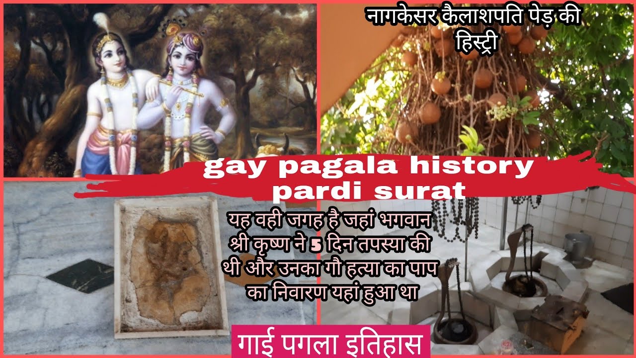 गाय पगला का इतिहास ||gay pagala history ||gai pagala mandir surat ||ગાય પગલા સુરત|surat |h.p king01