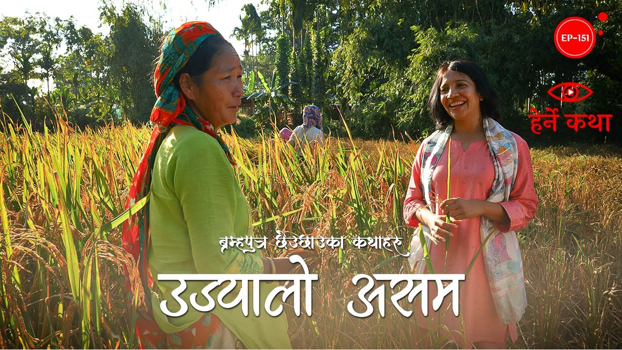 उज्यालो असम | Ujyalo Assam | Herne Katha EP151 - हेर्ने कथा