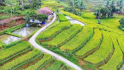 LUAR BIASA !! Sejuk Indah Alam Desanya, Suasana Pagi Di Kampung Yg Tenang, Pedesaan Sunda Jawa Barat