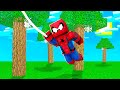 GIOCARE COME SPIDERMAN SU MINECRAFT!