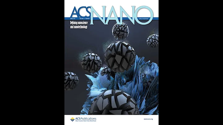 Enhancing Inflammation Targeting Using Tunable Leukocyte Based Biomimetic Nanoparticles