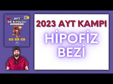 Endokrin Sistem - Hipofiz AYT Biyoloji Kampı Konu Anlatımı/ 11.Sınıf 2024 Tayfa