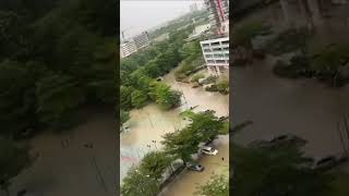 淹水了，希望赶快退，大家都平安……#shorts
