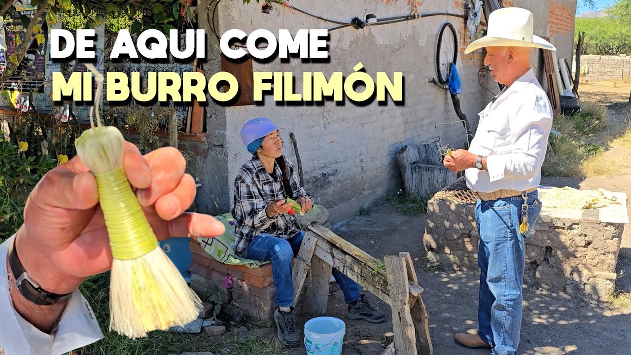 HACIENDO PEINES DE LECHUGUILLA CON SARITA @LaIndiaBlancaMX