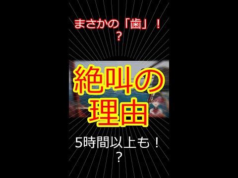 まさかの「歯」！？絶叫の理由 【切り抜き】マリン船長