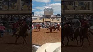 Rodeo Judge Trips