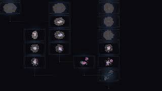Information hypergraph multiverse of hex-r4 Update