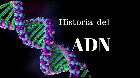 ¿Cuándo se creó el ADN?