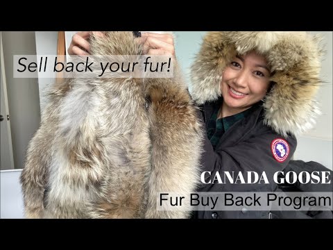 Canada Goose New Fur Buy Back program