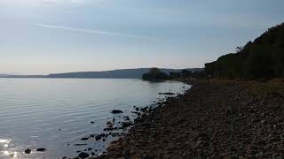 Alex ed il bacarozzo a Bracciano
