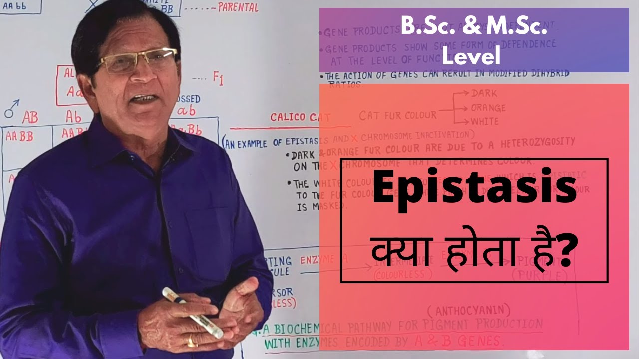 Epistasis || B.Sc. & M.Sc. Level - YouTube