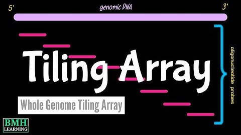 Tiling Array | Genome Tiling Array | Whole-Genome Tiling Arrays | WGAs |