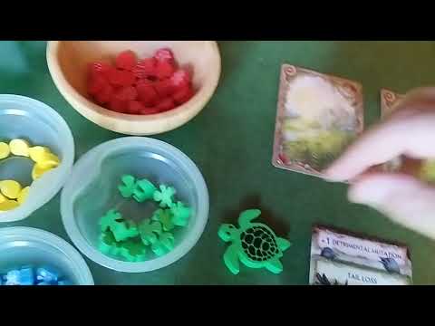 Evolution (cómo se juega y opinión)