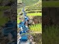 a very unique and creative irrigation system #shorts #usa