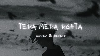 Tera Mera Rishta Lyrics, [ Slowed + Reverb ] Song ||