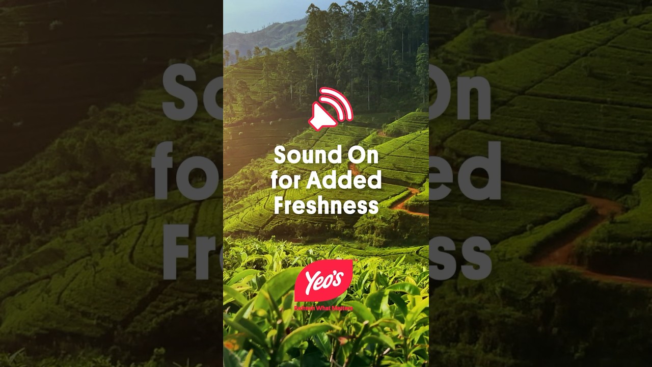 Soothe Your Senses with Yeo’s First Harvest Green Tea