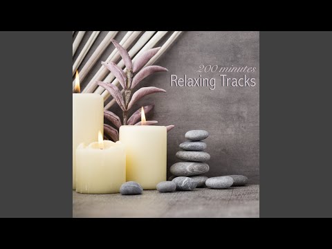 Buddhist Meditation Music with Sitar
