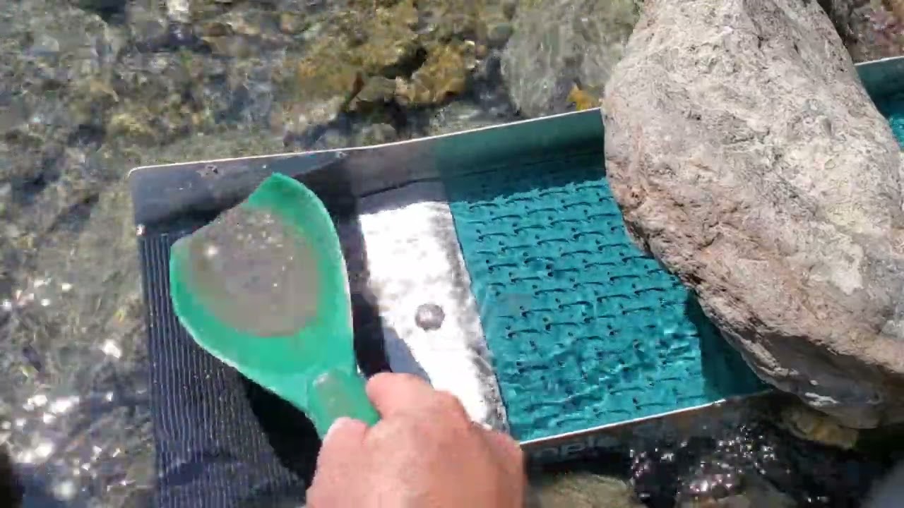 Western Washington Gold!