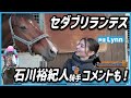シルクレジェンドホース列伝Ⅱ ~セダブリランテス編~【Lynn】