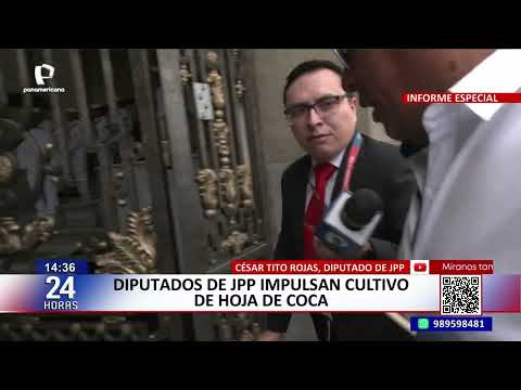 JP congress members promote coca leaf cultivation