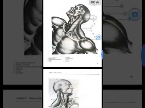 Baixar livros de desenhos PDF gratis