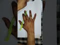 Article 13 #examअध्ययन #mppsc #viral #currentaffairs #viral #polity