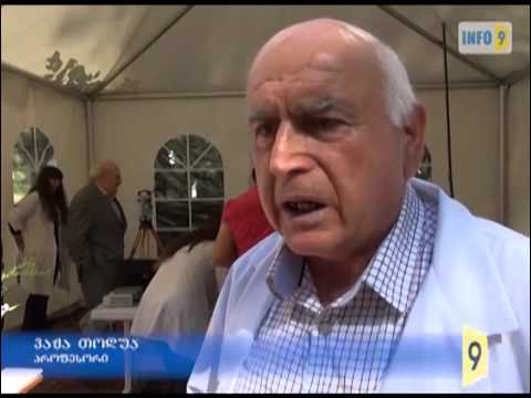 ილიას  უნივერსიტეტმა