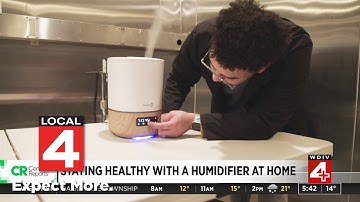 Which humidifier should you use? Here