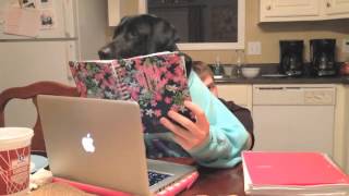 EDIT 2000 Commercial - Edmodo